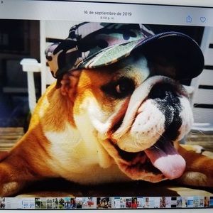 Meet your Posher, Eduardo